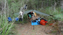 Campsite Lower Beulah Rd