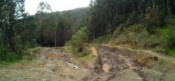 More Ruts on Jefferys Track