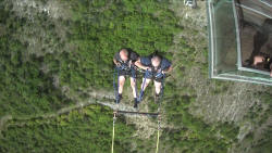 Tony Matthew Nevis Swing 4