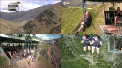 Tony Matthew Nevis Swing