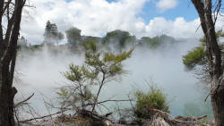 Thermal Pool