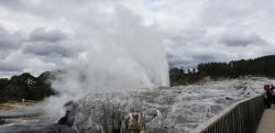 Pohutu Geyser
