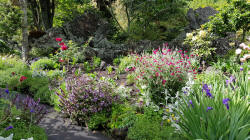 Flowers in Eden Gardens