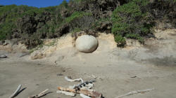 Moeraki Boulders