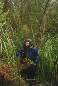 Heading back from Cutting Camp